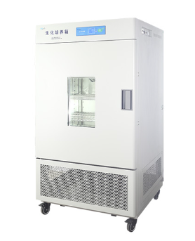 上海一恒霉菌培养箱MJ-500-Ⅱ